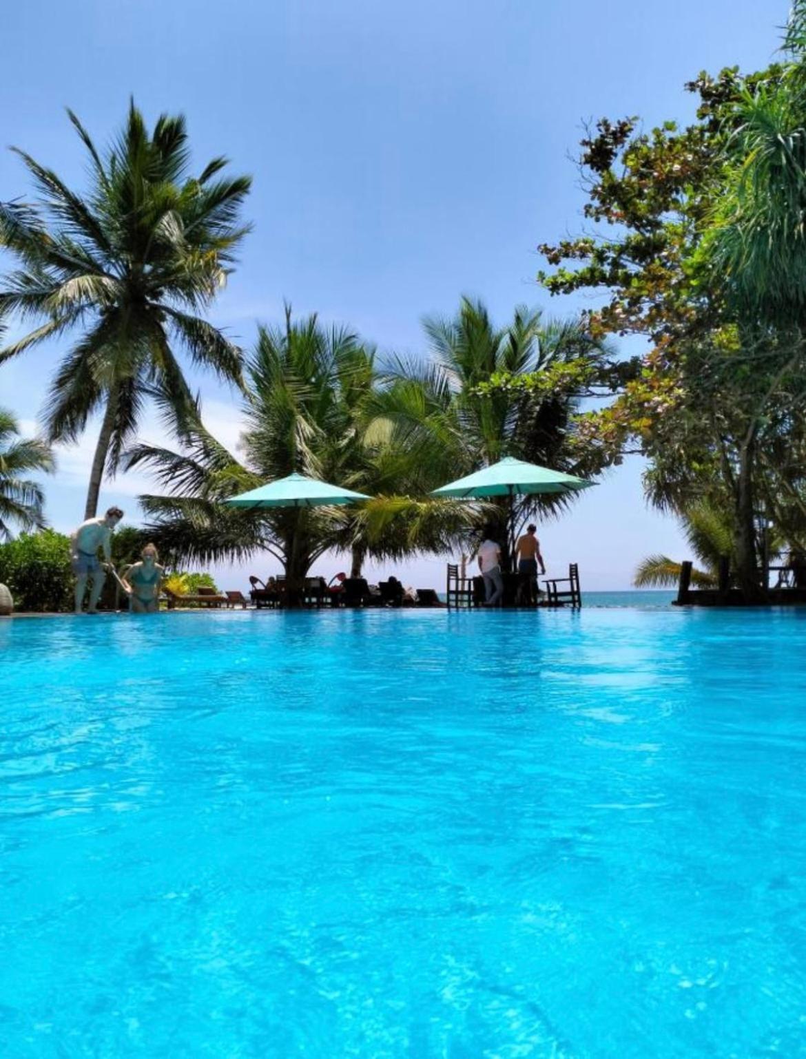 Marakolliya Beach Resort Tangalle Extérieur photo
